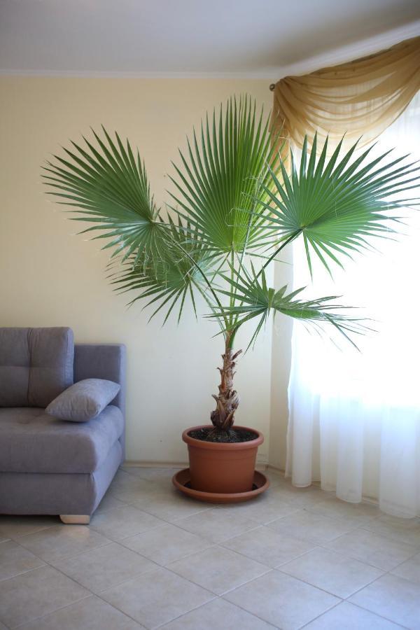 Villa Livia Boutique Apartments Ravda Bagian luar foto